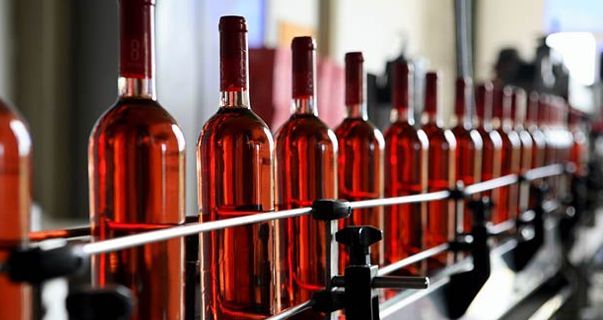 Maior degustação de vinhos do mundo reunirá mil apreciadores no Sul