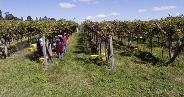 Desemprego atinge 12,5% no trimestre encerrado em abril