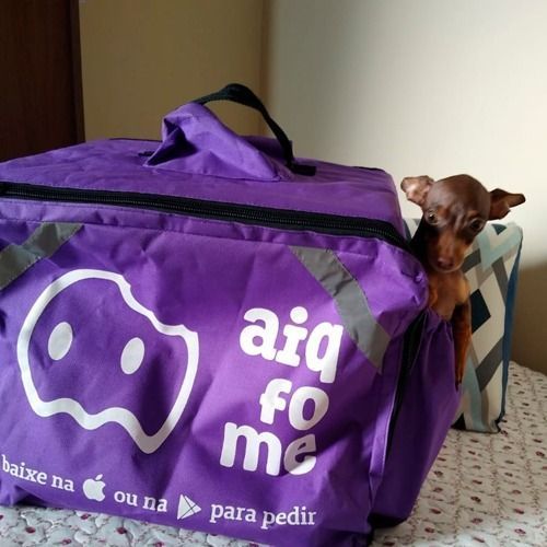 Magazine Luiza compra delivery paranaense de comida AiQFome