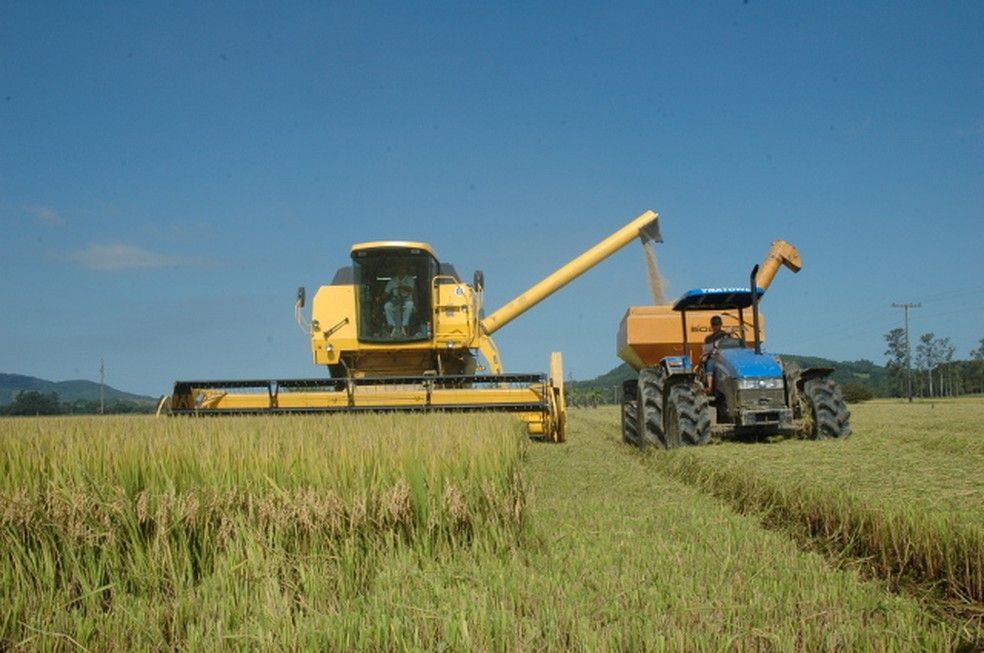 Isenção tarifária para o arroz não deve ter efeito