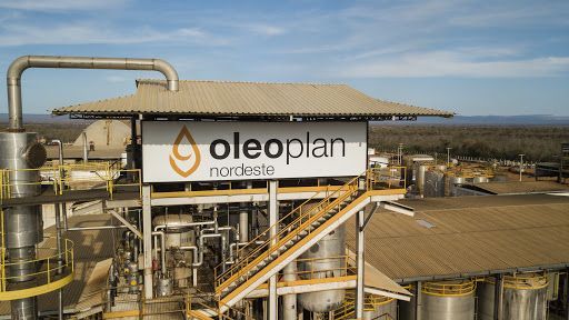 Oleoplan protocola pedido para IPO