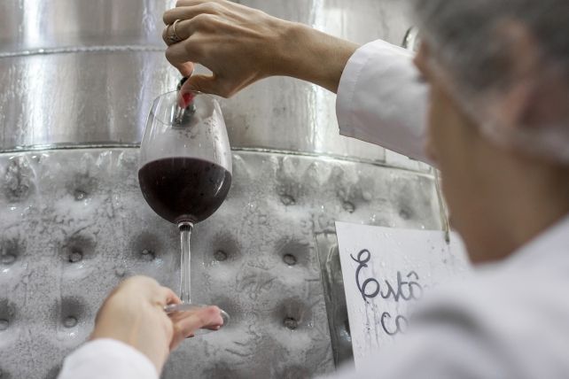 Brasil cria sistema para gerenciar produção de vinho