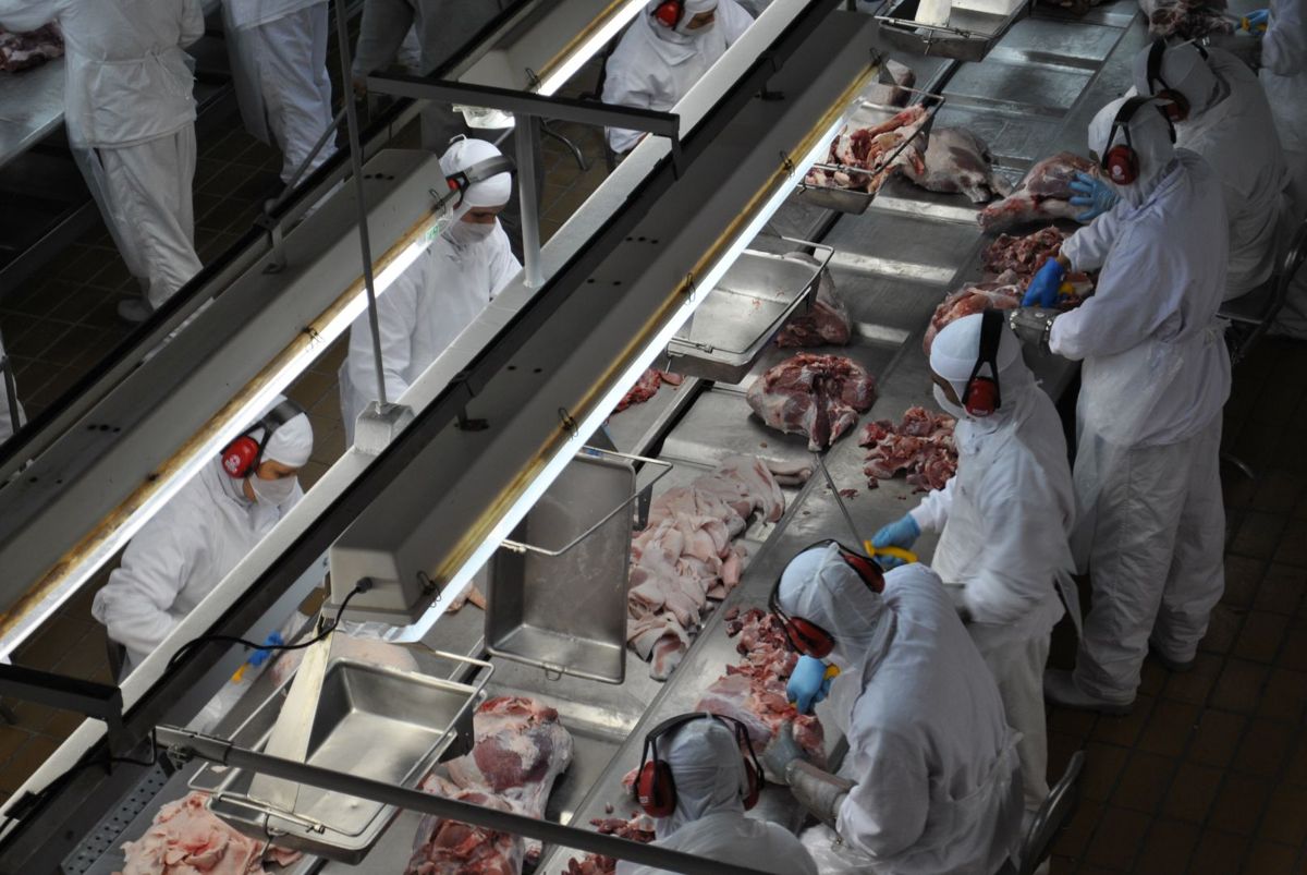 Avicultores de Santa Catarina querem frear exportação de grãos