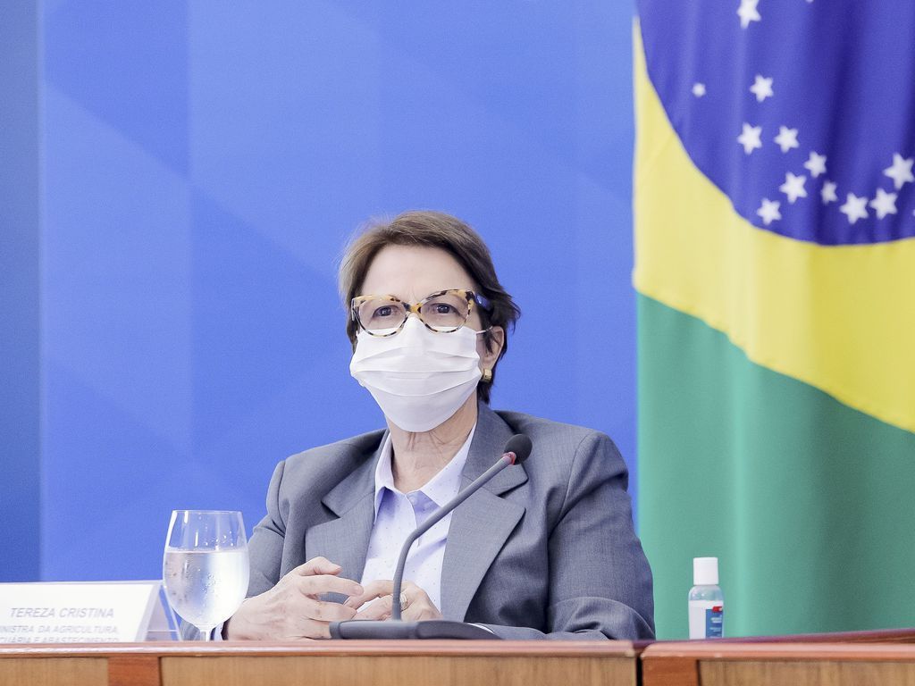 Tereza Cristina afirma que Nova Ferroeste será “uma avenida de oportunidades”