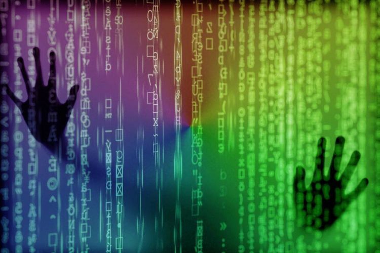 Sequestro de banco de dados: como se proteger