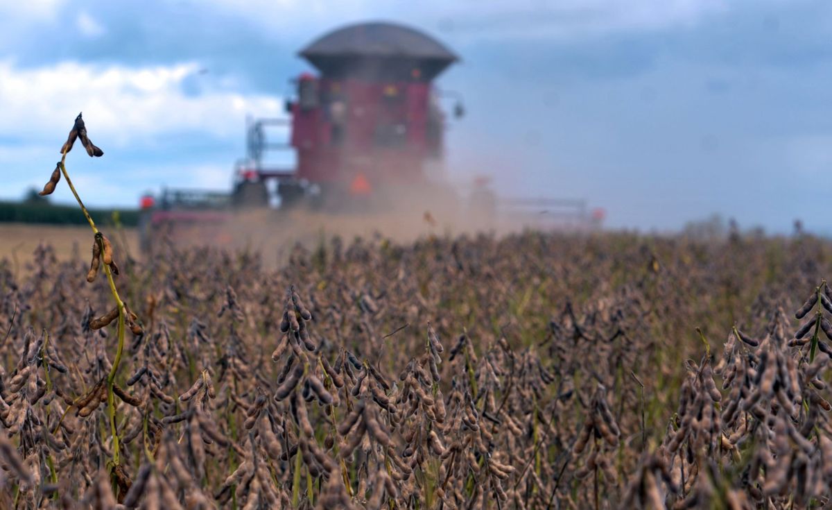 Crédito rural sobe 18% em relação ao último semestre de 2019