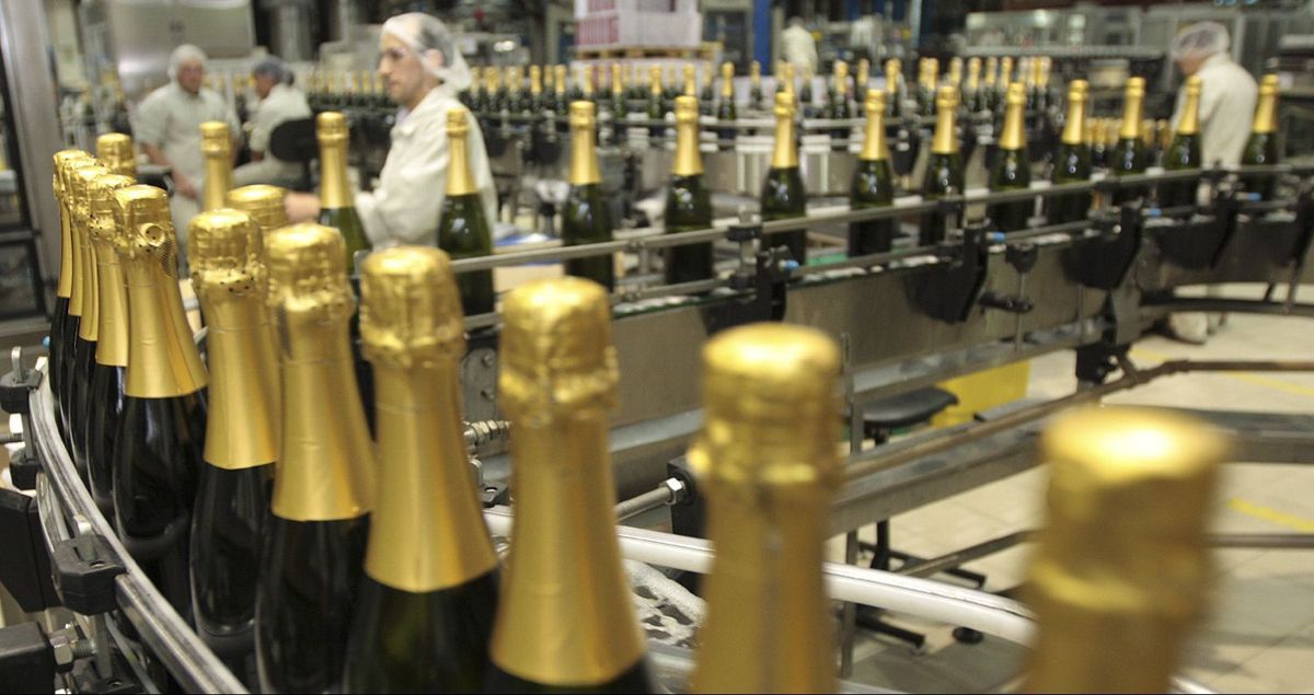 Viva o vinho brasileiro