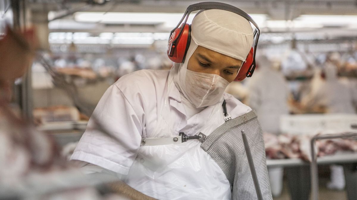 Apesar da pandemia, cooperativas catarinenses têm surpreendente crescimento em 2020