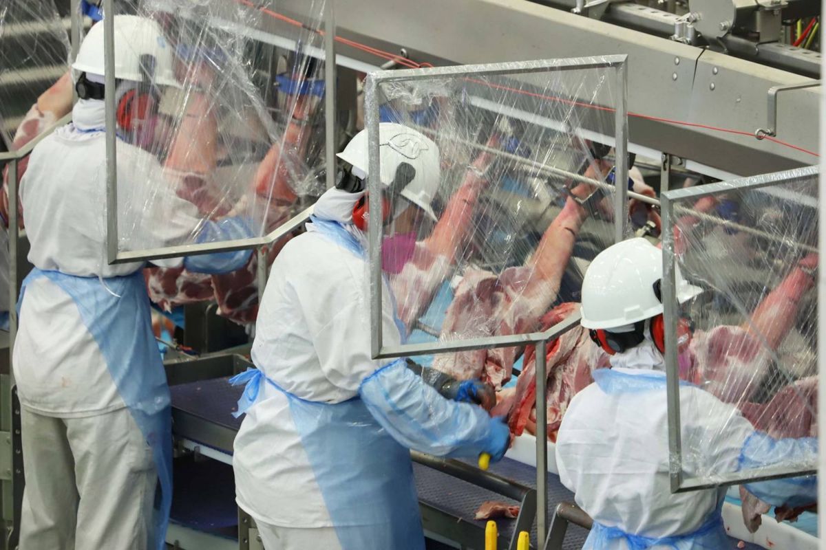 Sul cria mais de 100 mil postos de trabalho em fevereiro