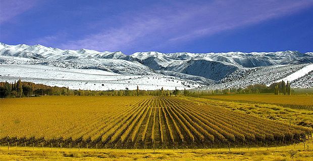 Mendoza terá hub logístico em Itajaí