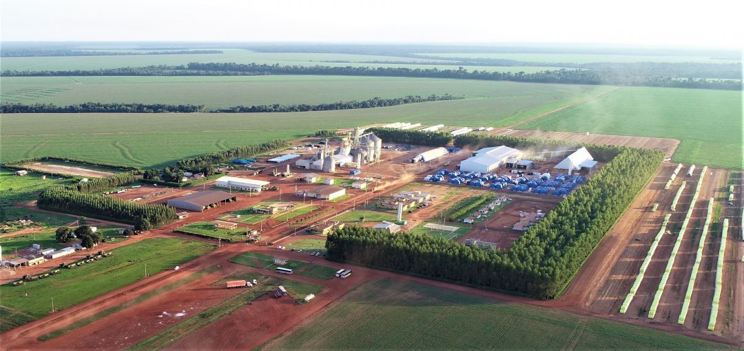 SLC Agrícola bate recorde na produção de soja pelo quarto ano