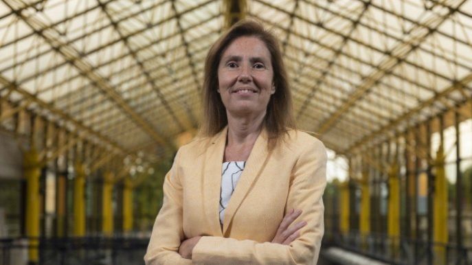 Renault nomeia Silvina Mesa como nova CFO no Brasil