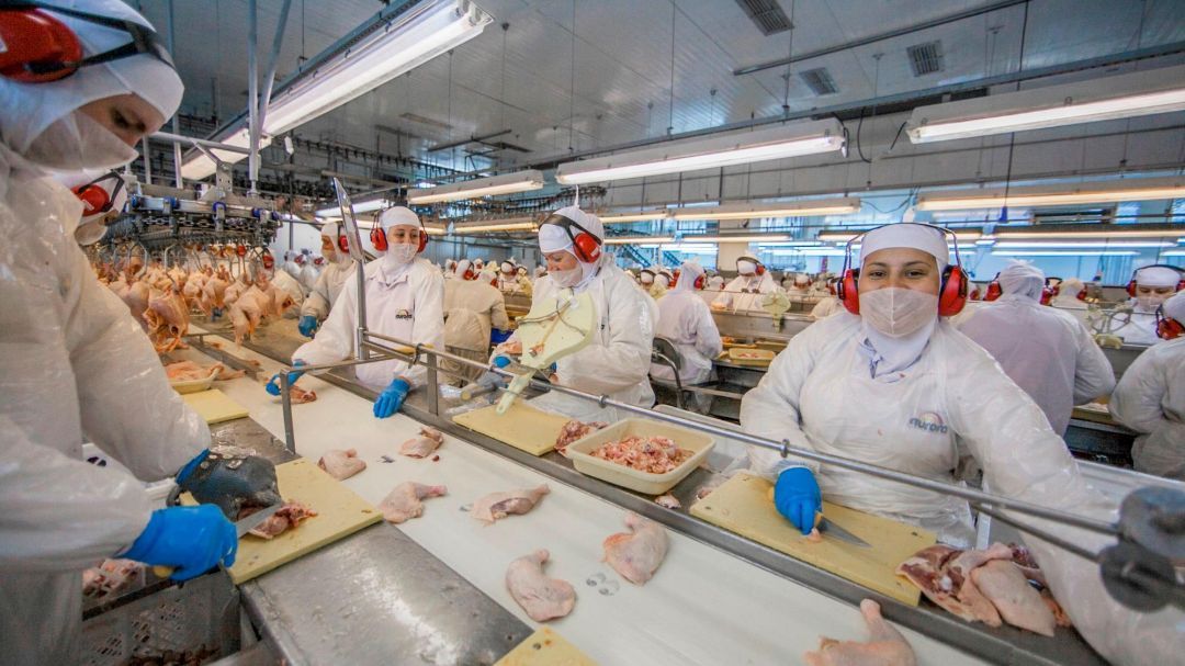 Crise dos insumos ameaça indústria de proteína animal