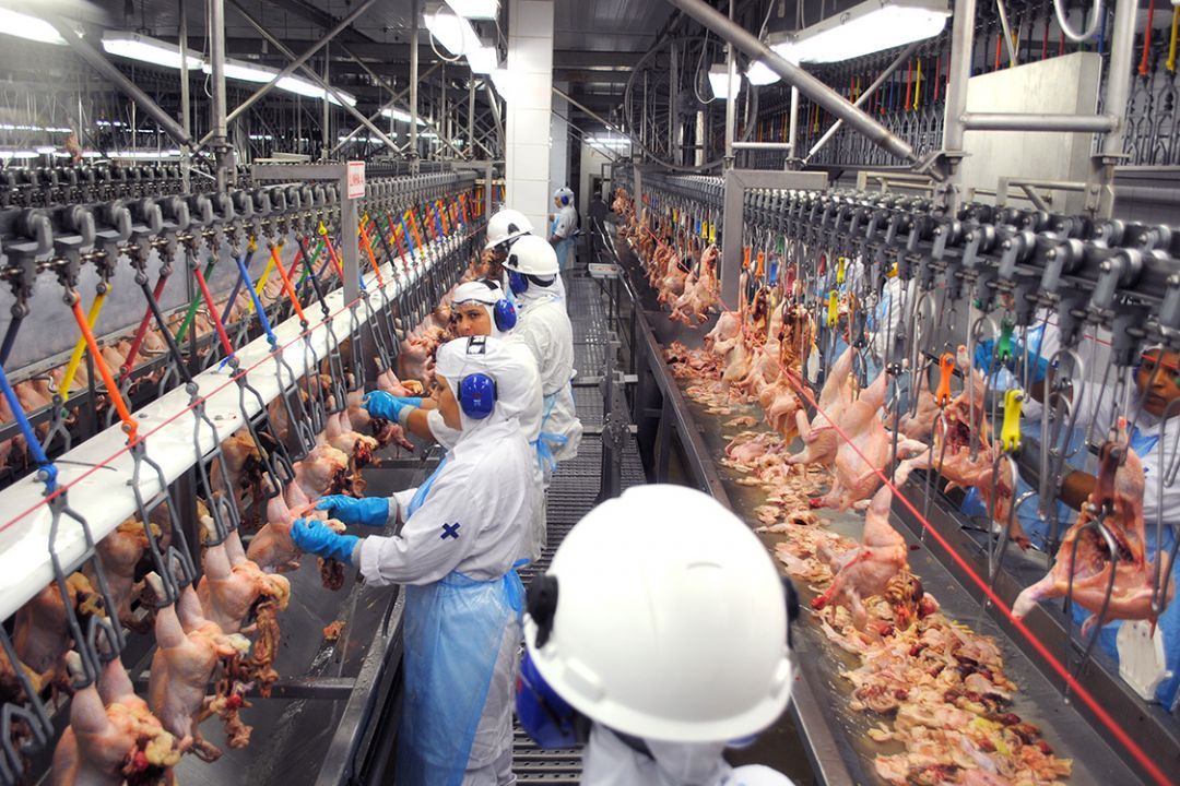 BRF anuncia investimentos de R$ 643 milhões em Santa Catarina