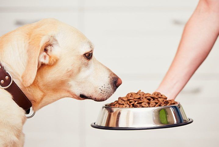 BRF compra Hercosul e avança no mercado pet