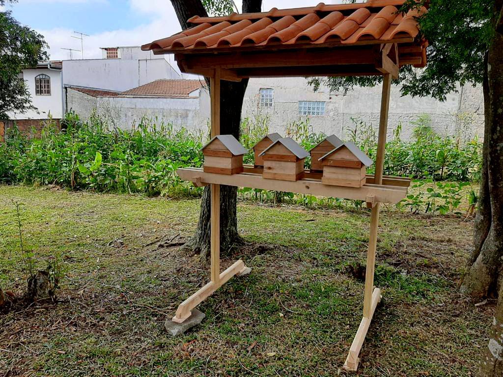 Instituto Raiz Nova promove educação ambiental