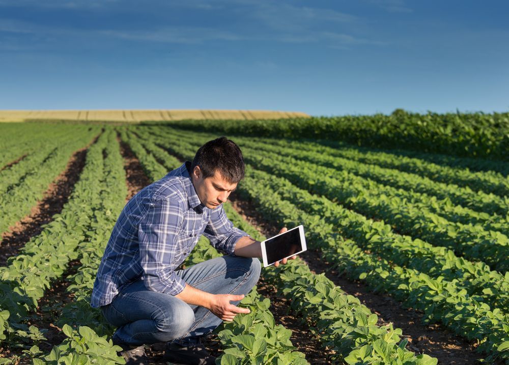 Sucessão desafia as famílias empresárias do agronegócio