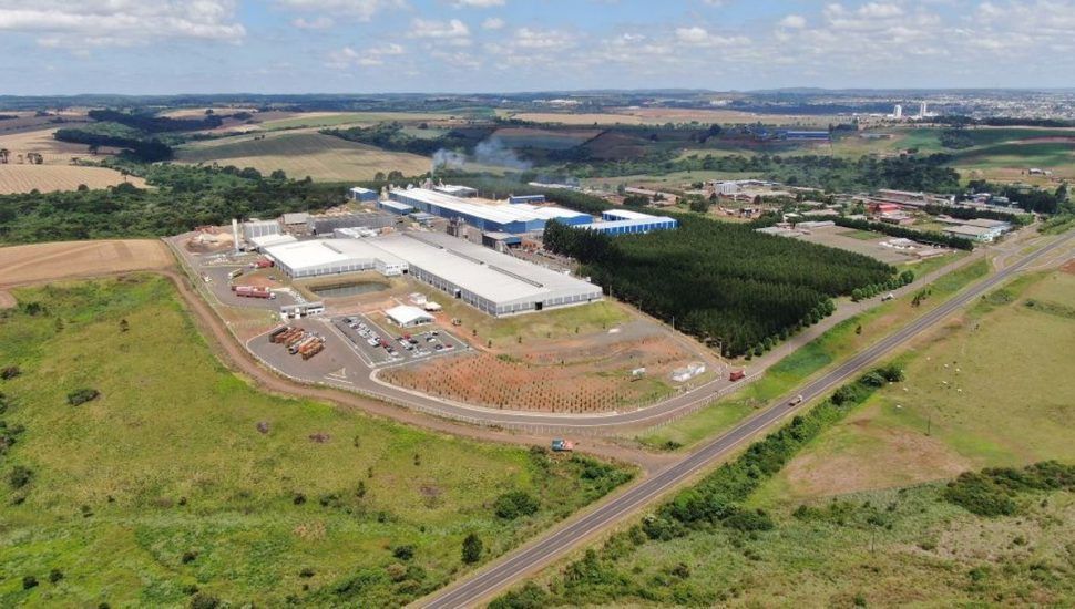 Araupel anuncia investimento de R$ 40 milhões no Paraná