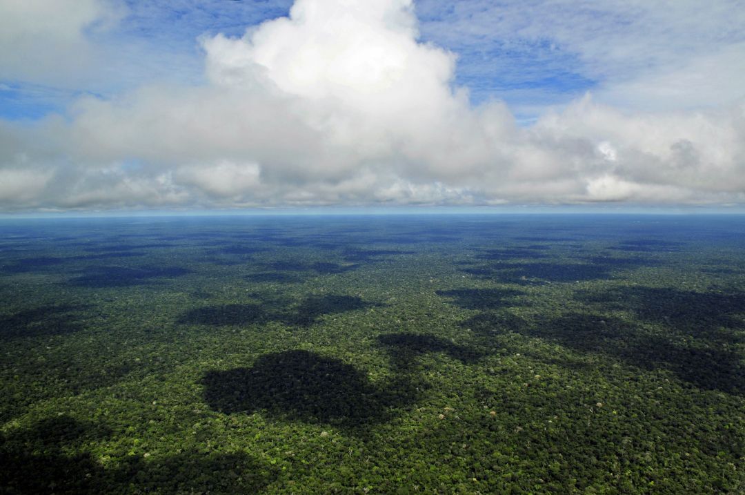 Empresas brasileiras defendem criação de um mercado de carbono