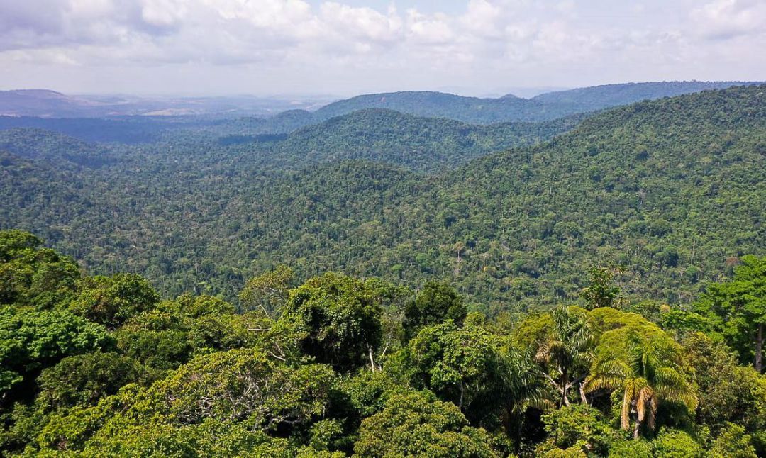 Governo cria Cédula de Produto Rural Verde