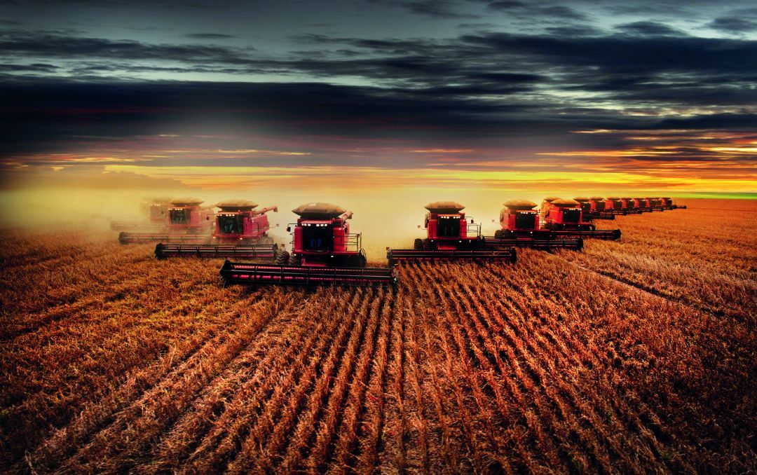 Um dilema que pode favorecer o agronegócio