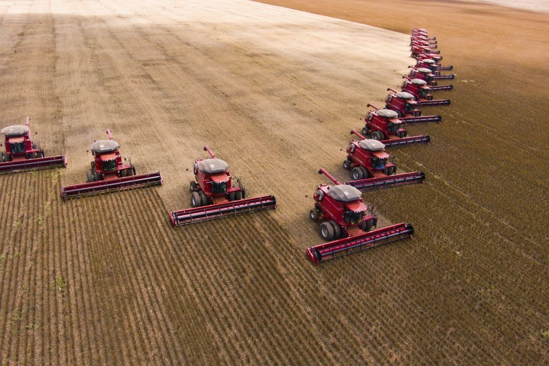 Estratégia colaborativa da Becomex eleva eficiência do agronegócio brasileiro