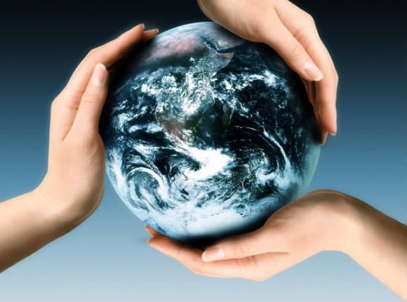 Veja como foi o fórum "Carbono Neutro – O compromisso das empresas”