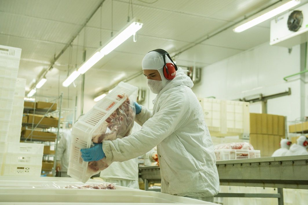 Produção de carne no Brasil bate recordes históricos em 2021