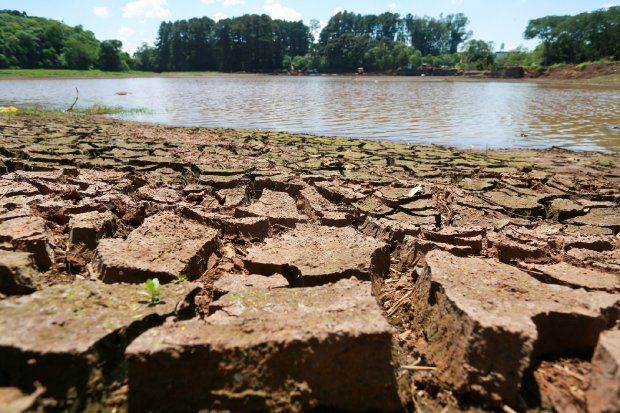 Perdas no agronegócio já atingem a marca de R$ 47 bilhões