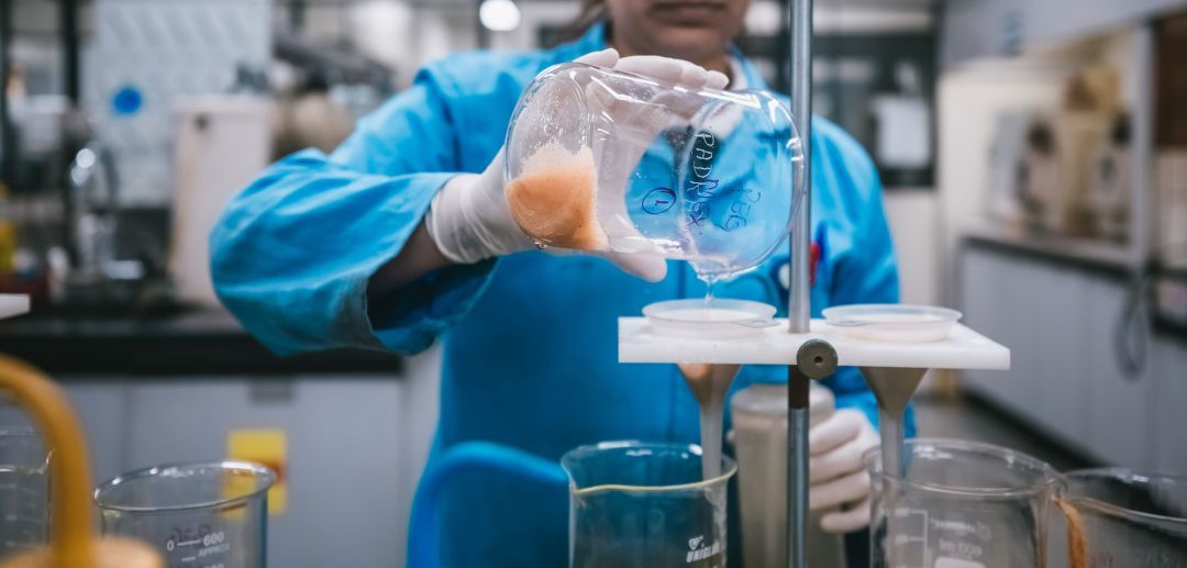 Tupy tem maior faturamento da história