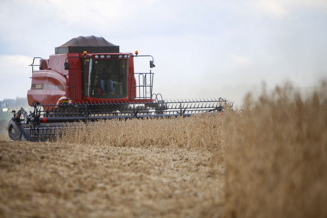 PIB do Paraná cresce quase 3% no segundo trimestre