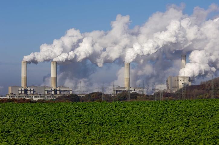 BC define como instituições devem registrar créditos de carbono