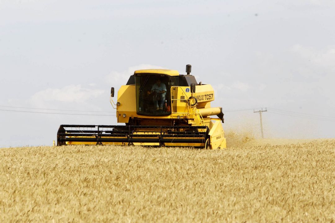 Governo do Paraná pretende tributar produtos agropecuários