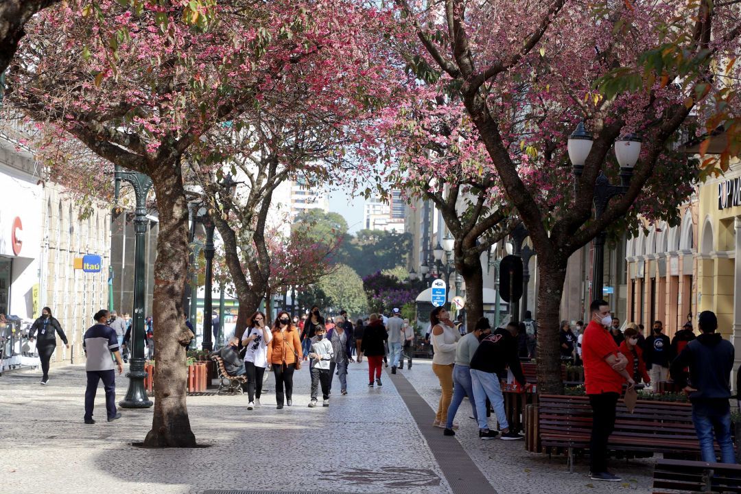 Índice de Gini do Paraná ultrapassa o de Santa Catarina