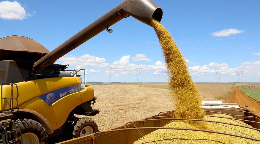 Com alta de 12,6%, safra de 2023 pode bater recorde