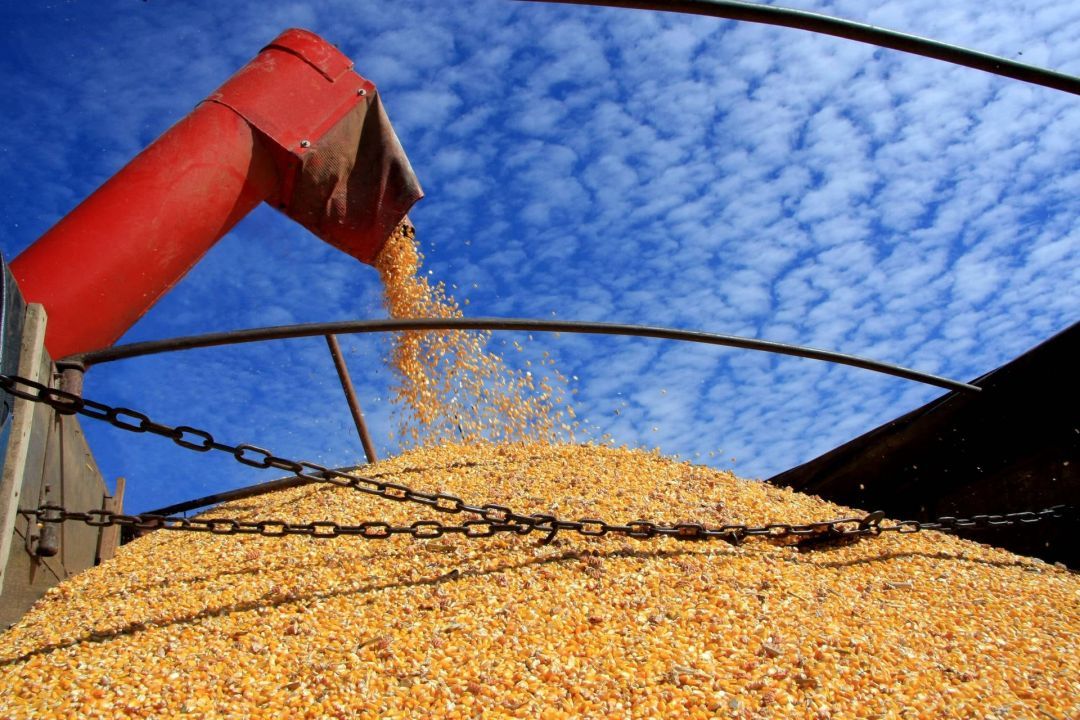 Balança comercial tem superávit de US$ 61,8 bilhões em 2022