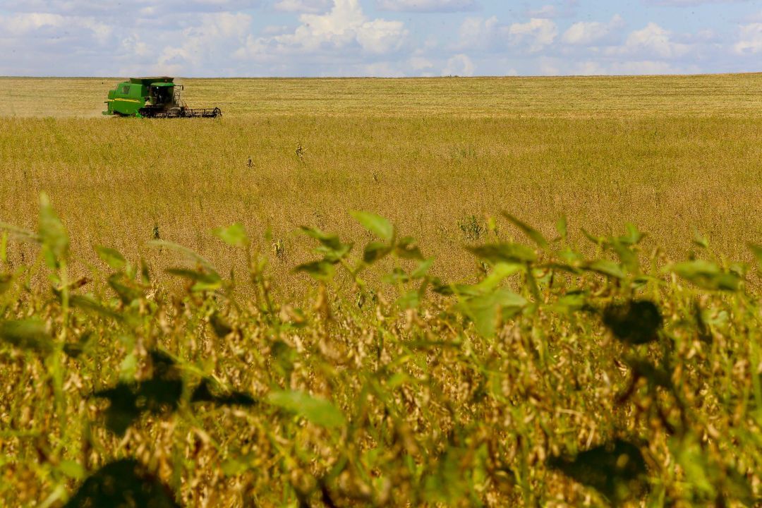 Desaceleração do PIB em 2022 sugere crescimento modesto neste ano