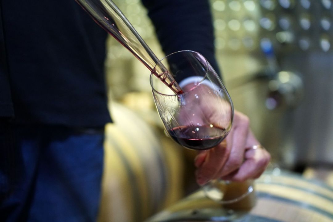 Sul concentra maioria das indicações geográficas do vinho brasileiro