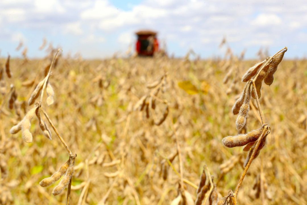 Balança comercial tem superávit de US$ 10,5 bilhões em junho