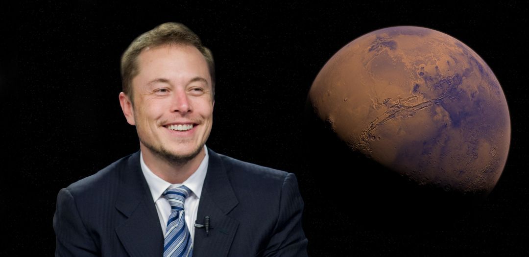 Elon Musk, um decisor visceral?