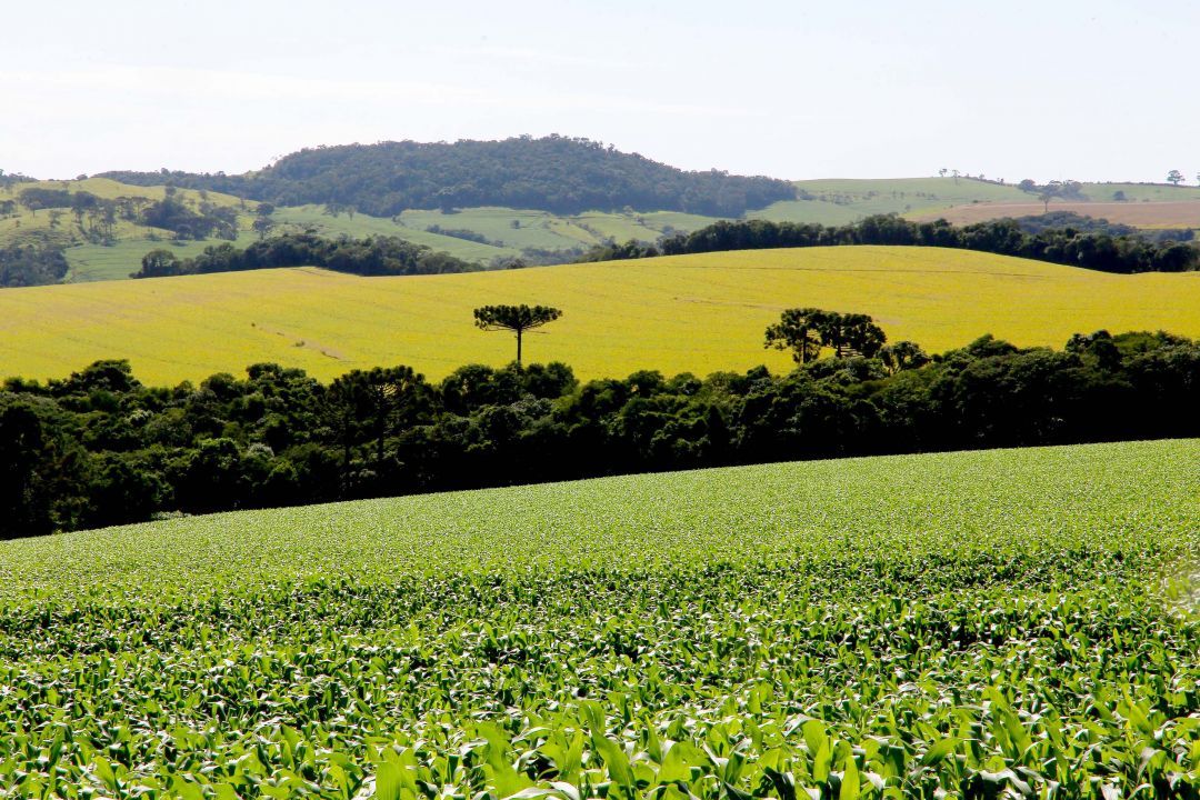 PIB do Paraná cresce 8,6% no primeiro semestre