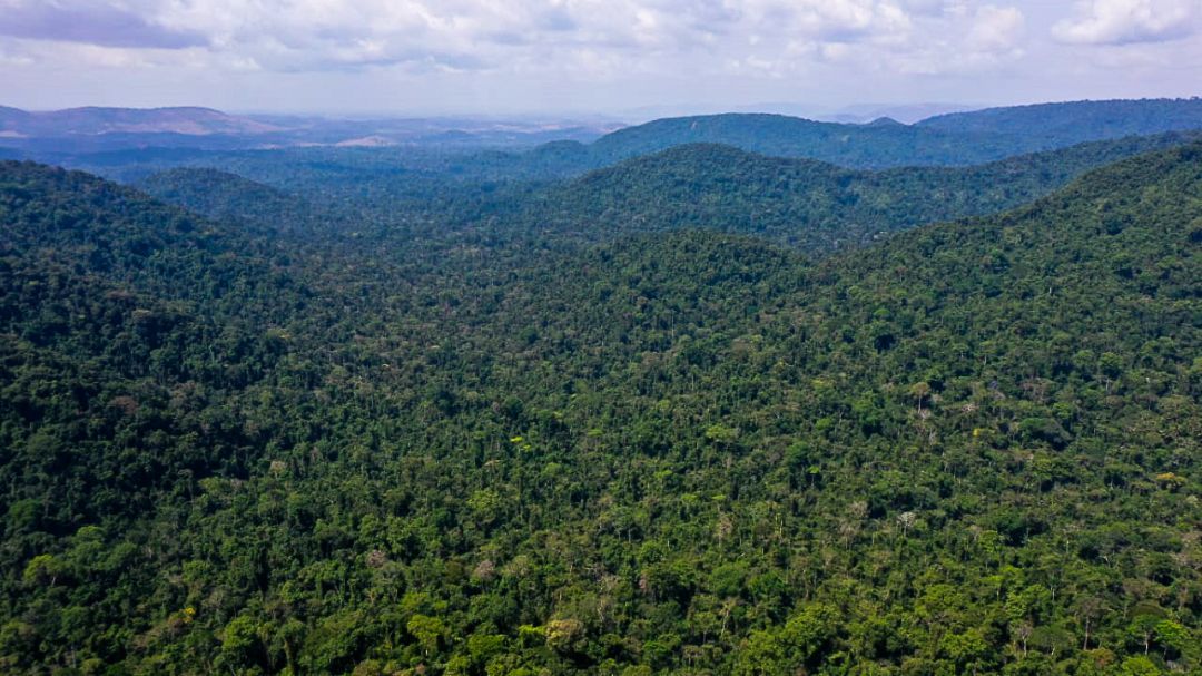 Meio ambiente receberá até 60% dos recursos de títulos verdes