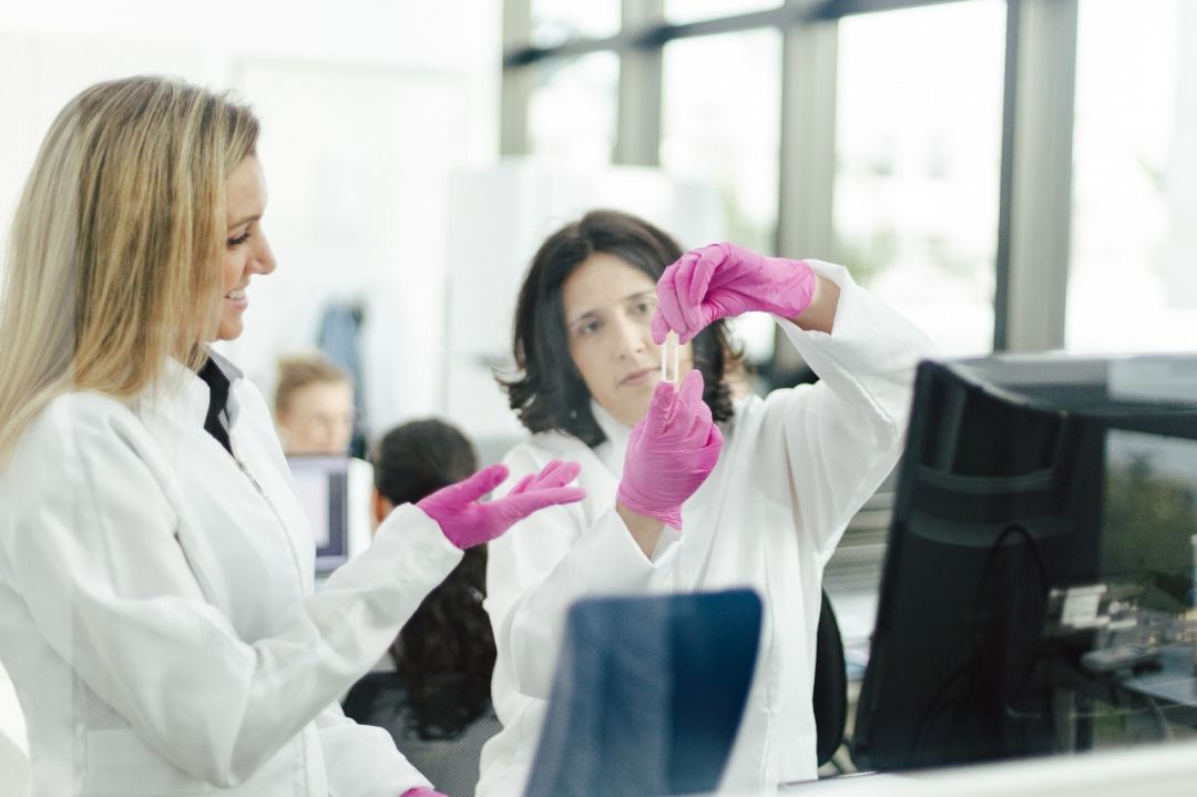 Nanotecnologia verde desenvolvida no Sul conquista mercado internacional