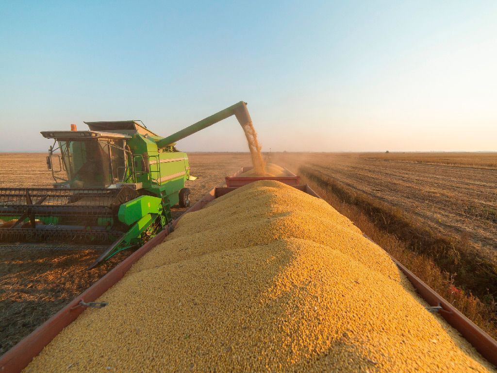Grupo Safras anuncia a aquisição da paranaense Copagri