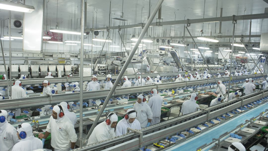 Economia catarinense avança 2,5% em setembro
