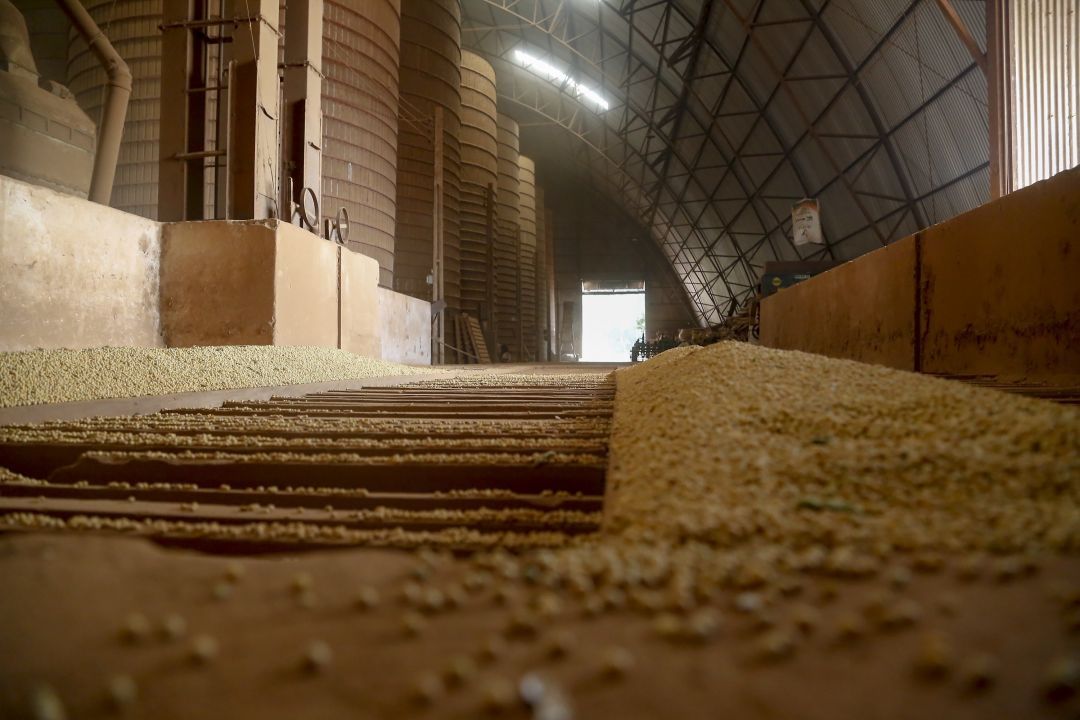 AEB projeta balança comercial com queda de exportação e mais importações