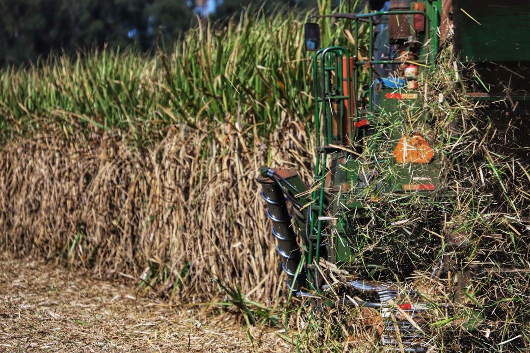 Tecnologia baseada em dados torna seguro agrícola mais inteligente e mais barato