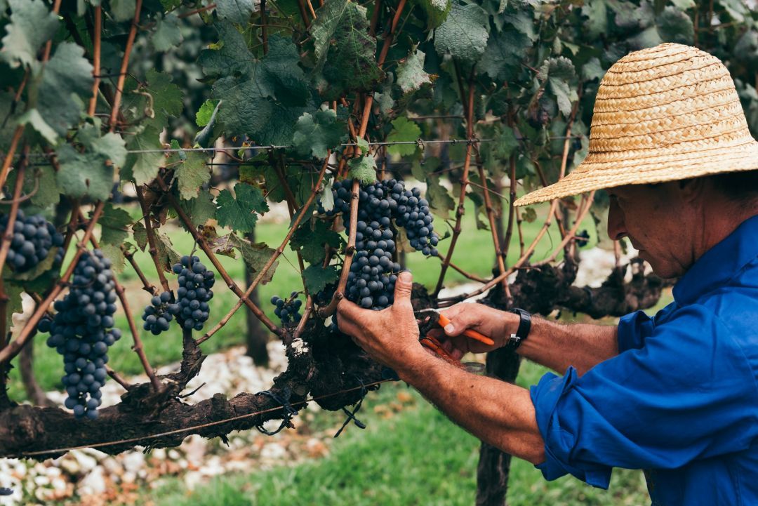 Compromisso social na estratégia de sustentabilidade