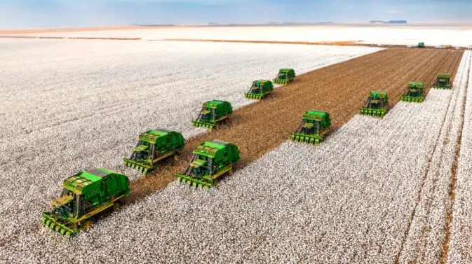 Receita da SLC Agrícola apresenta estabilidade em 2023