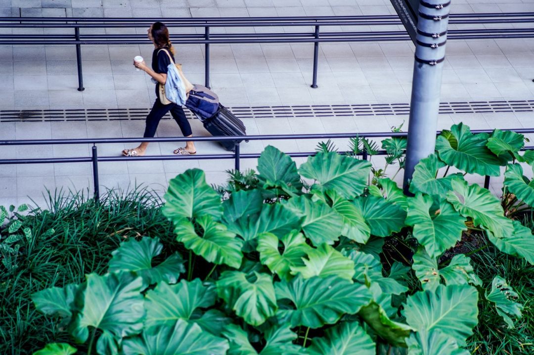 Aeroporto de Florianópolis segue sendo o melhor do país